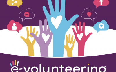 Results of the E-volunteering Research