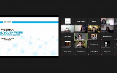 Webinar “Digital Youth Work” held on June 12, 2020